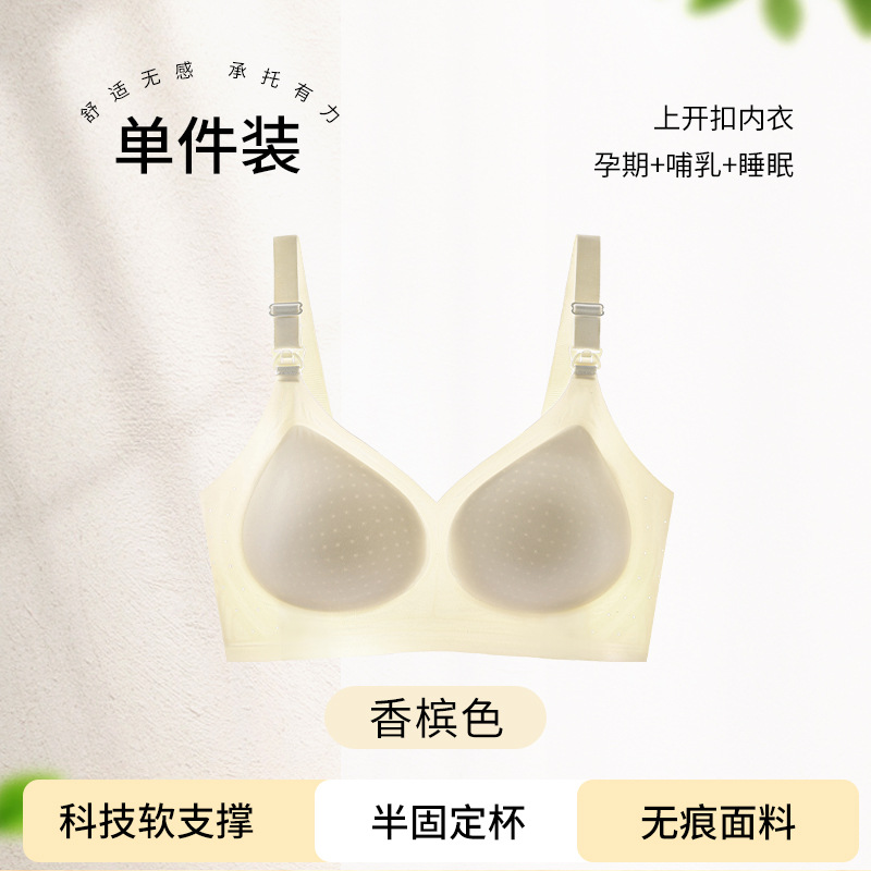 샴페인