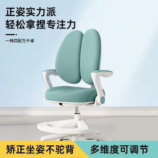Cross-Border Kidsren's Learning Chair, Adjustable Chair, Adjustable Learning Seat, Kidsren's Writing Chair, Student Desk Chair