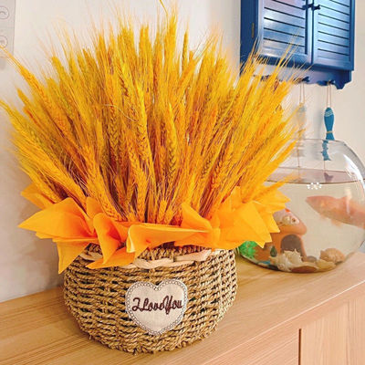 Barley Dried flowers Countryside style decorate gift The opening Flower basket Home Furnishing Decoration prop shot One piece wholesale