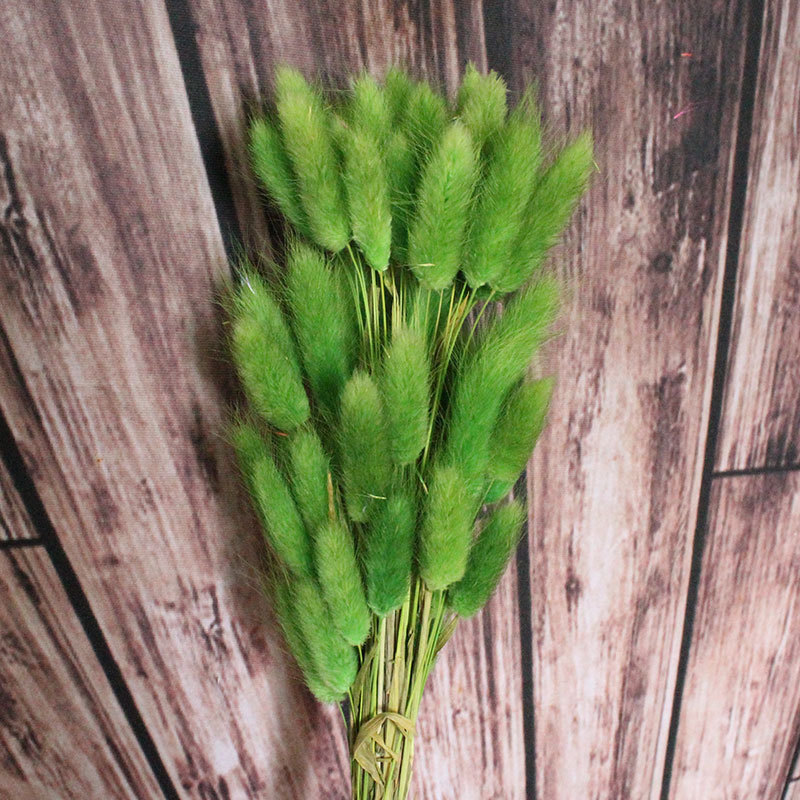 11868250339_511691582