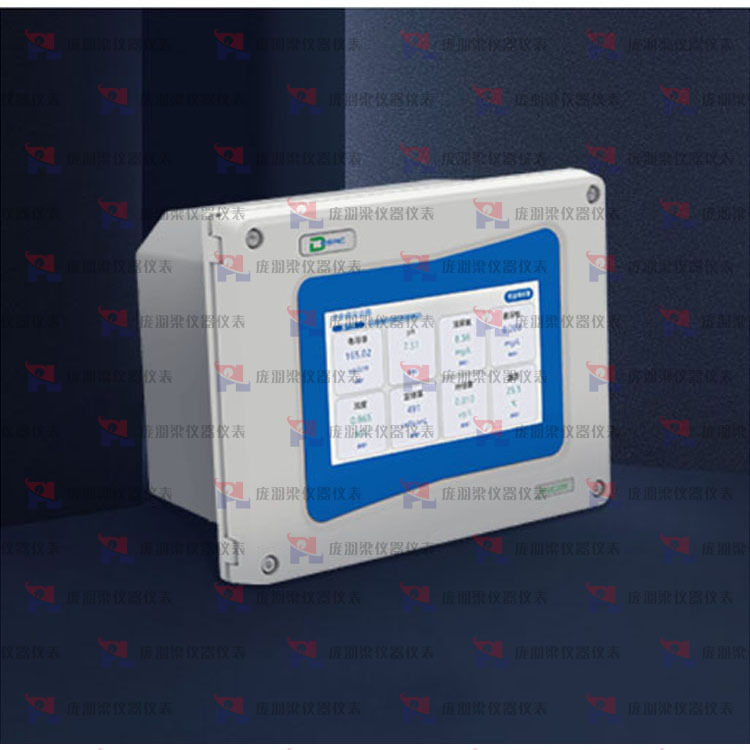 德国德思克多参数变送器DSC-TRSM-1000