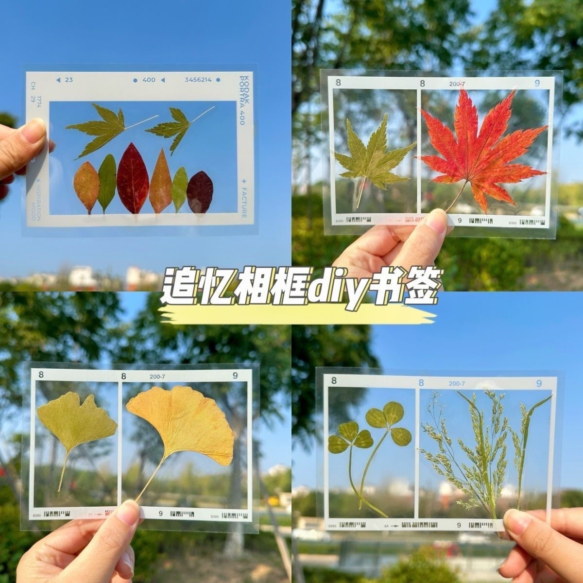 Bookmark DIY Transparent Specimen Frame Series with Pressed Flowers, Dried Plant Specimens, and Creative Fallen Leaf Stickers