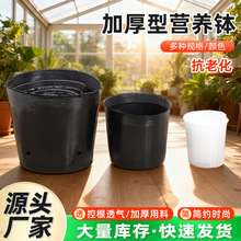 �I�B�����籭�I�B�������� �����r�����������Ӻ�һ����������