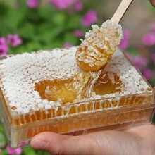 �S�����l�r�ҷ䳲�۬F�ɳ���䳲���۷������خa���l