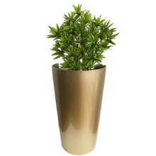 �S��ֱ�N�߹⇊�Ứ�裬�߈AͲ�裬�gӭ��ُ