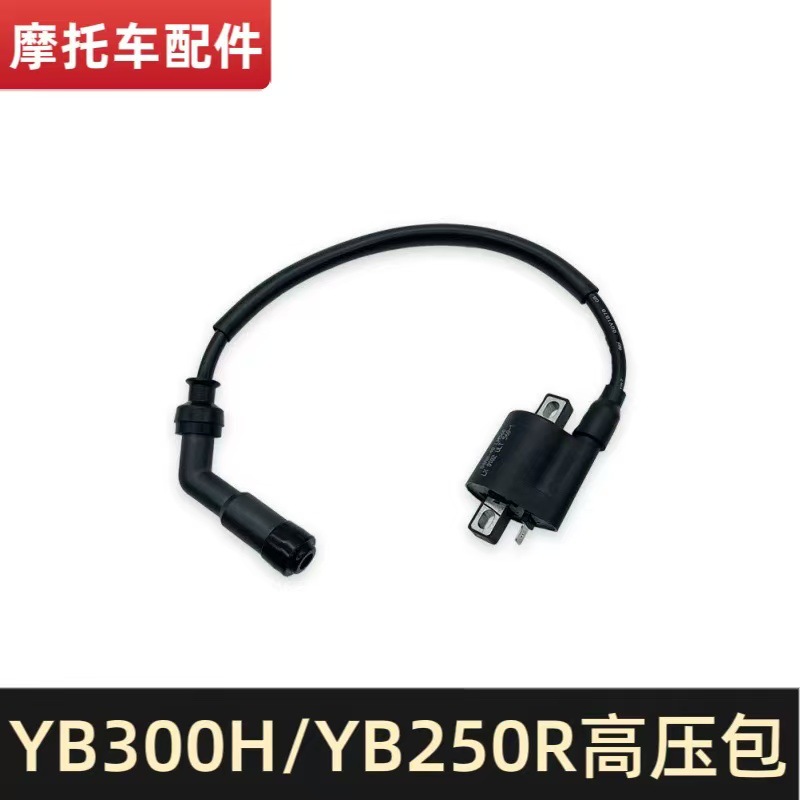 Loncin Yb300H/Yb250R Engine High-Voltage Package Electrical Components Are Suitable for Hengjian S7, Kewei Si Zuma S6