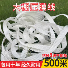 ��ӯ����É�Ĥ�K��������Ӻ���ĥ����Ĥ����ɫ���ϻ���Ĥ��