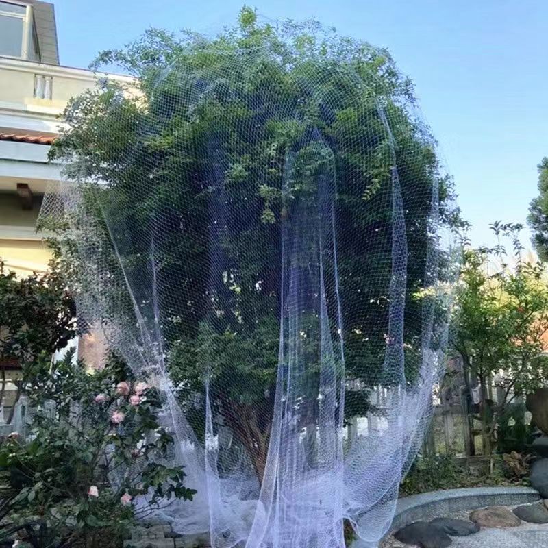 b31f06044cdf4b94cd93d6fc13ff8e