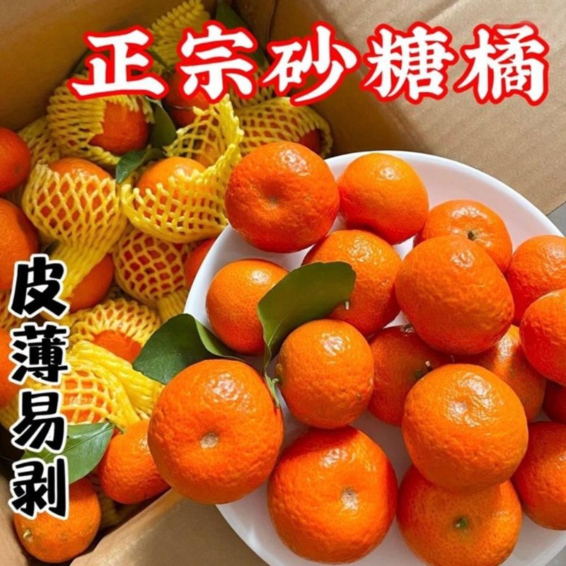 砂糖桔广西砂糖橘水果新鲜当季橘子沙糖桔纯甜无籽跨境货源