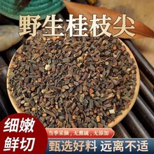 ؛Ұ֦șľxƷoκӏV֦֦ۗl