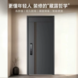 指纹锁;进户门;平开门