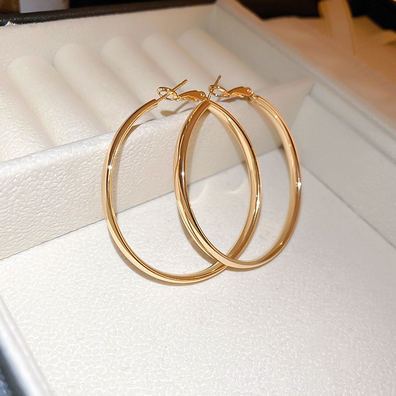 Aguja de plata Pendientes de anillo de elemento transfronterizo europeo y americano Pendientes de nicho de viento frío Pendientes de temperamento de moda Pendientes de lujo ligero y de alta gama