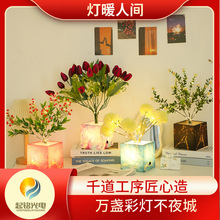 跨境ins小夜灯床头小台灯氛围灯户外露营花盆灯节日灯圣诞树灯