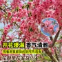 绿化室外工程庭院碧桃