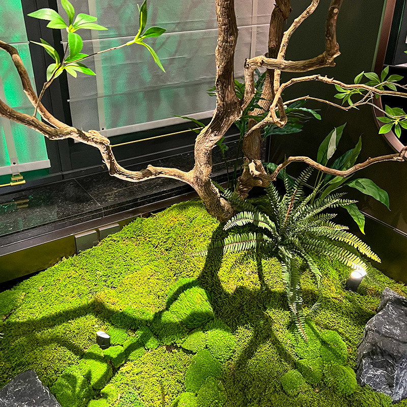 シミュレーション馬酔木ショーウインドー造景植物室内高級生緑植装飾樹大型偽樹シンプル景観|undefined
