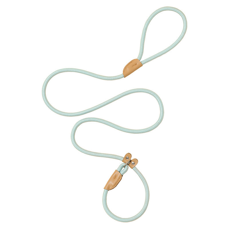 Correa de perro mascota perro mediano y grande hebilla de seguridad perro cuerda collar perro caminando P cadena suministros para mascotas al por mayor