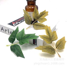 3Ƭĵ���~����zӡ��ǲ��~ ĵ����֦����ٗl��c�����b����