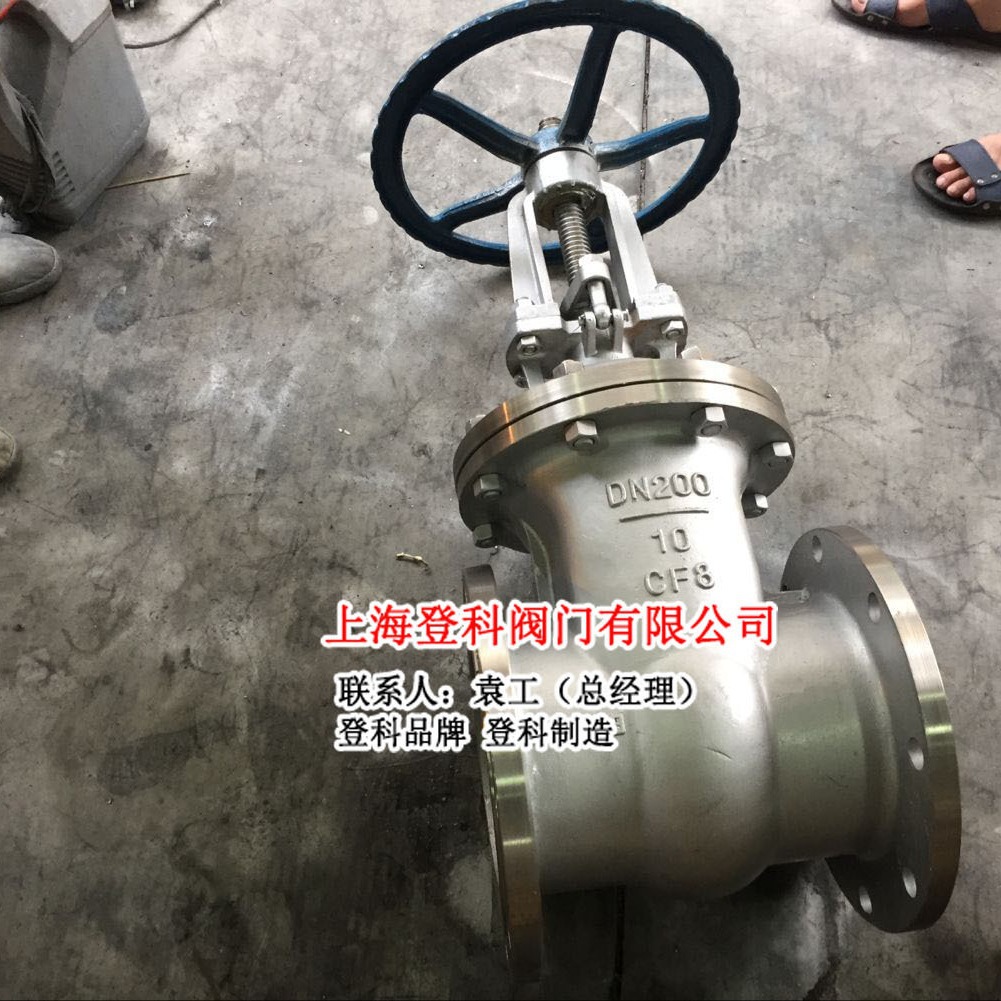 Z41W-25RL DN250 闸阀 不锈钢闸阀 法兰闸阀 手动316L闸阀明杆