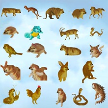 Cheems����ʮ����Ф���Ӑ���ɳ���������ֵ�������С�YƷ���