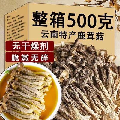 [Large servings]Antler new goods Furuta dried food Pilose antler bacteria mushrooms Mushroom wholesale One piece On behalf of