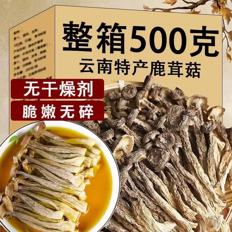 [Large servings]Antler new goods Furuta dried food Pilose antler bacteria mushrooms Mushroom wholesale One piece On behalf of