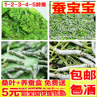 �Q�����W���B�Qɣ�~���r�Q�r����ֱ�l���b�g�gС���Q�Q���Q��