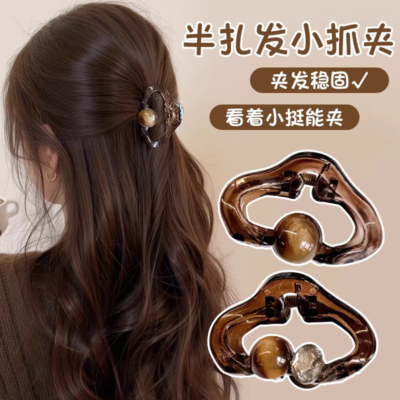 brown Ball Cloud Small Grab Clip 2025 New High-end Sense Half Tie Hairpin Back Head Disc Hairpin Headwear Hair Accessories