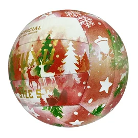 足球;篮球;排球