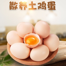农家散养玉米黄土鸡蛋代发8-50枚新鲜营养柴鸡蛋非草鸡绿壳野鸡蛋