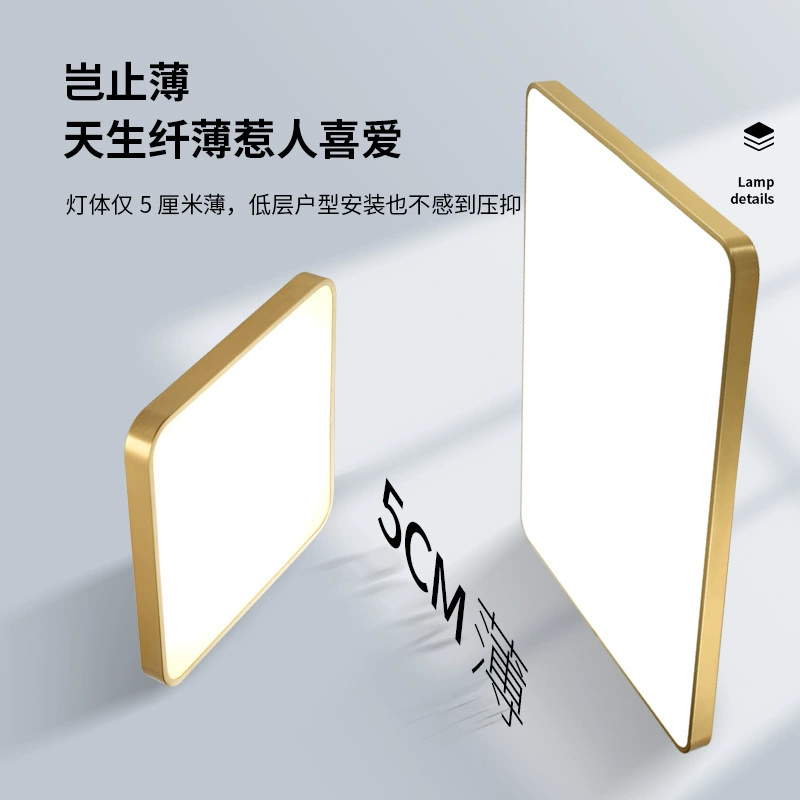 Golden LED ceiling light, lights for corridor, room light, light luxury style