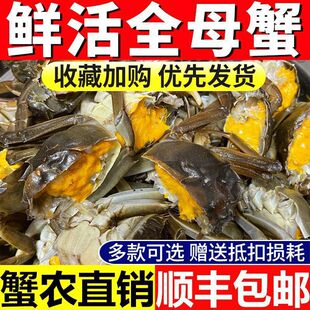 ȫĸС�з�r����lз�����Sȫ�������зһԪз������з���rˮ�a