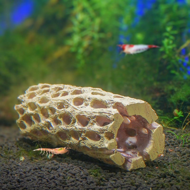 El comerciante empuja fuertemente la pecera de resina para el paisaje, el micropaisaje, el camarón Pipi, el camarón reptil, el pequeño camarón para evitar la casa, el punto es recto