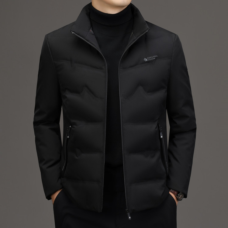 Men's Regular down Jacket 2024 Autumn and Winter New Style Stand Collar Men's 50% Duck down Warm Coat