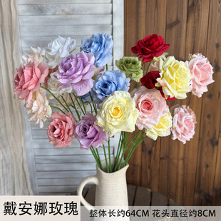 ���滨������õ���Y���żٻ������b�����廨�ֹ�������ˇ