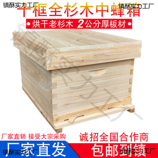 Ten-Frame Standard Beehive for Beekeeping, Ten-Frame Bottom Board, Medium Beehive Drying, Cedar Wood, Beekeeping, Agricultural Use, 10 Medium Flat