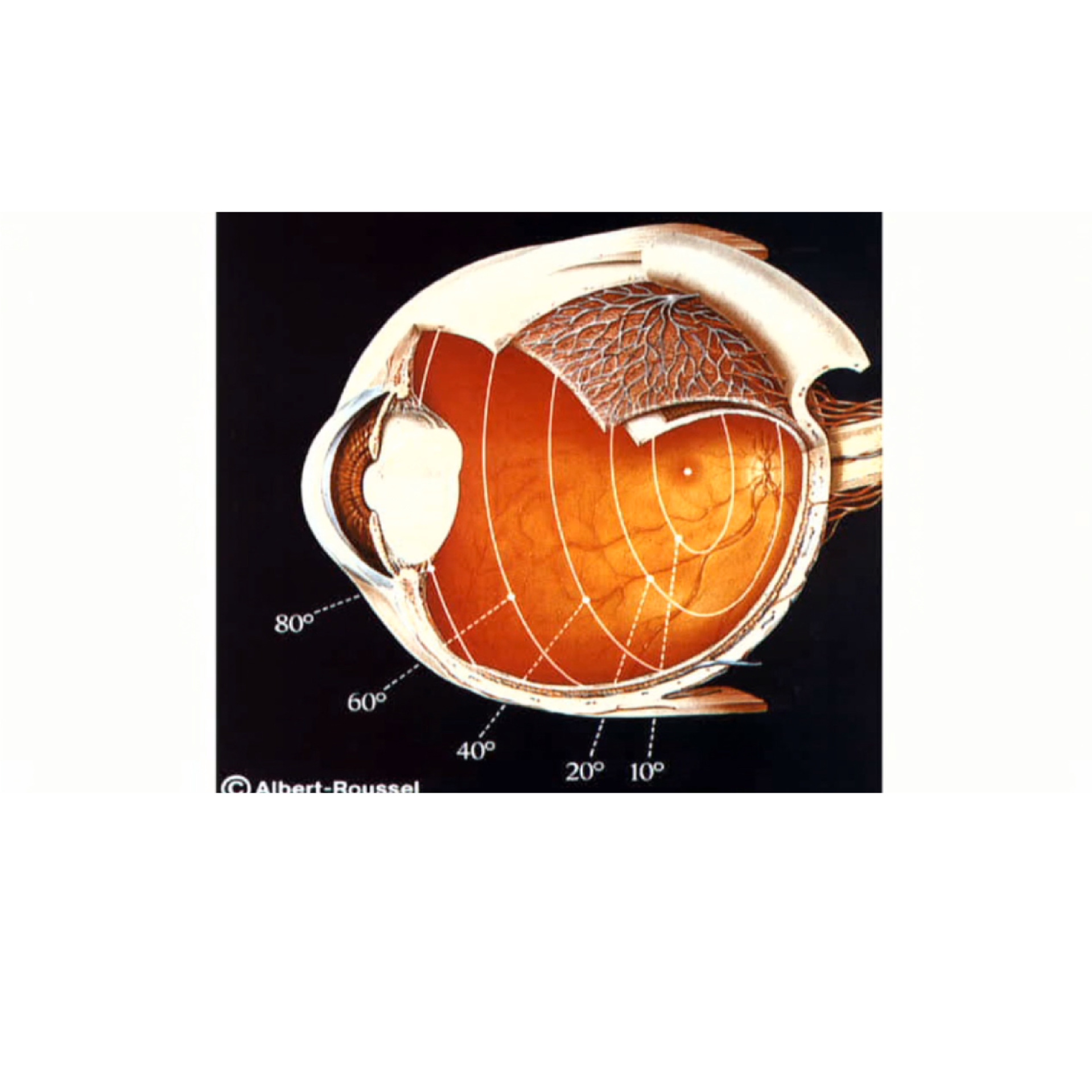 ��λ�����ע�������ж� �γ�����