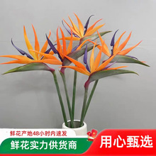 �����B�r�����l�Q���m�r������r������ֱ����c���ù��������û�