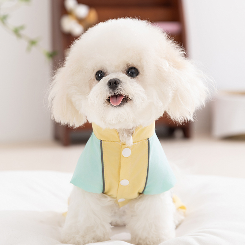 Chaquetas de cuatro patas con costuras de color de contraste de dopamina para perros al aire libre de primavera y verano, ropa de protección solar para perros pequeños y medianos, ropa para mascotas