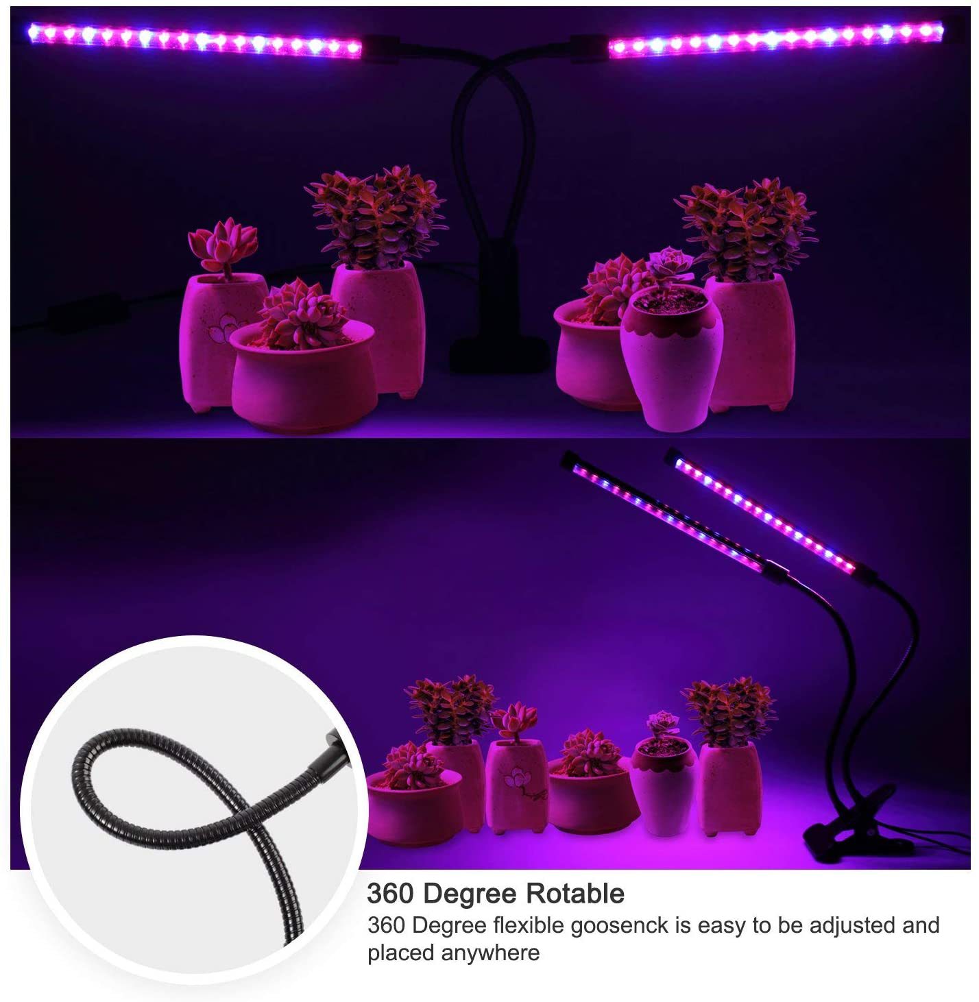 71MUbKKjJbL._AC_SL1500_