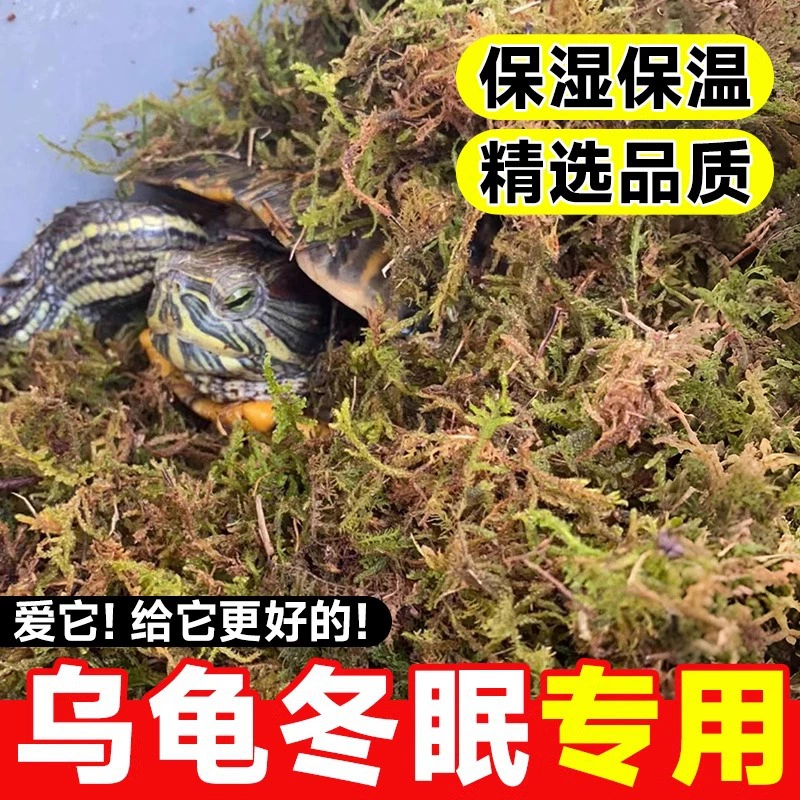 Материал зимней спячки для черепахи Кокосовый сухой мох и мох бабочка орхидея Дендробиум Посадка питательной почвы и водяного моха