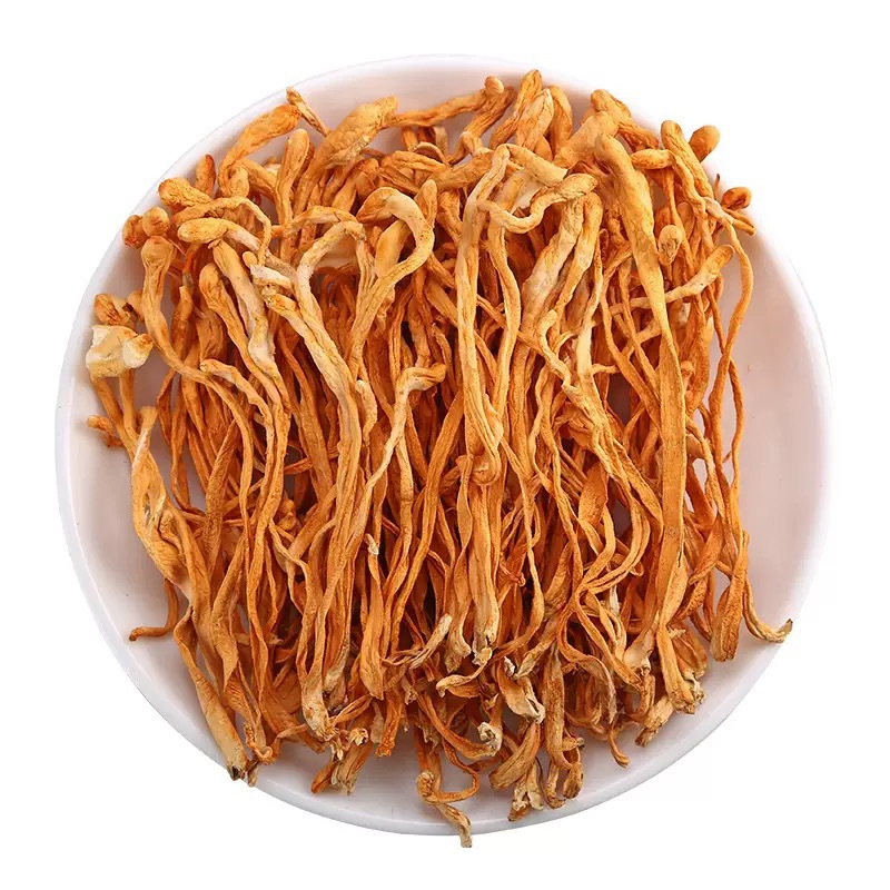 Cordyceps Flower Chong Cao Hua Dried Cordyceps Militaris Fruiting Bodies 500g for Soup and Tea in use