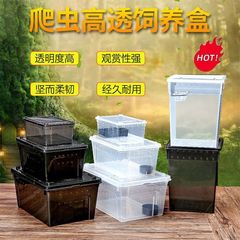 爬虫類、白翡翠カタツムリ、ホーンカエル、クモ、カマキリ、ヤドカリ、昆虫、特大、中型、小型、ミニ高透明飼育箱