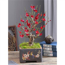 ÷Ԙ辰t÷D÷÷̨҃ͥԺͺֲ