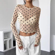 �羳���Q2026�����¿������OӋ��͸ҕ�A�c�����W���A�I�L��T��Ů