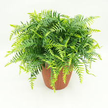 ����ֲ��Gֲ�����b����ϼٲ�ާ�˹ާ��ާ�~�F��ާ�~β�ݼٻ�