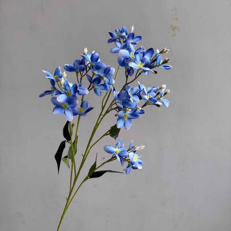 新鮮な蘭の小花、野の花、ホテルの背景の壁のフラワーアレンジメント、造花、結婚式場のフラワーアレンジメント、造花|undefined