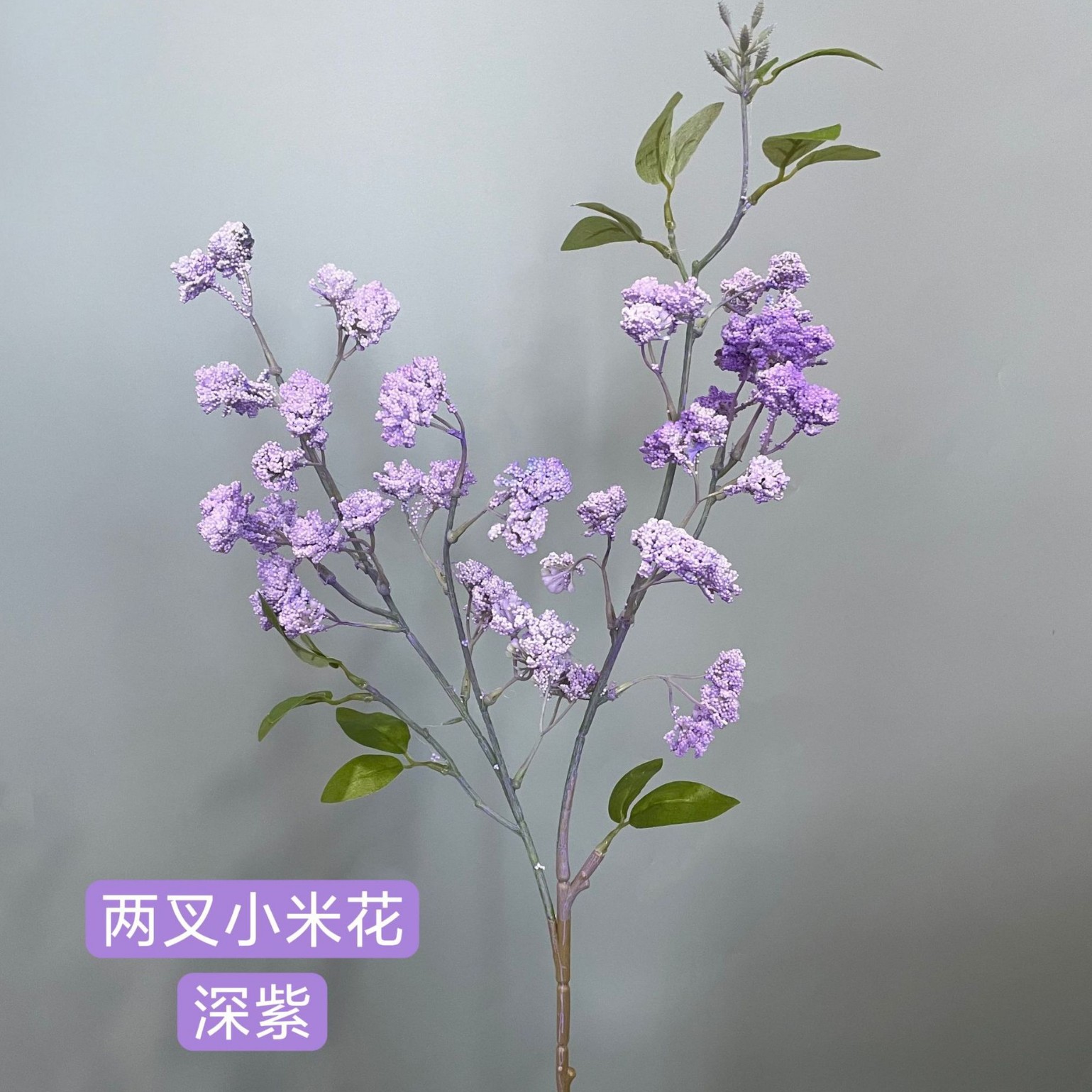 기장꽃 진한 보라색