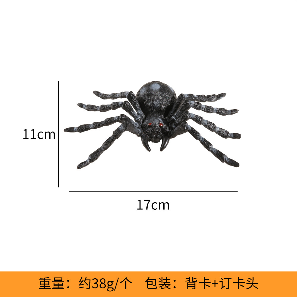 Gray spotted spider