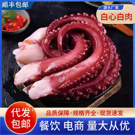 鱿鱼须新鲜速冻脆口鱿鱼须冷冻鱿鱼爪火锅烧烤食材海鲜水产批发