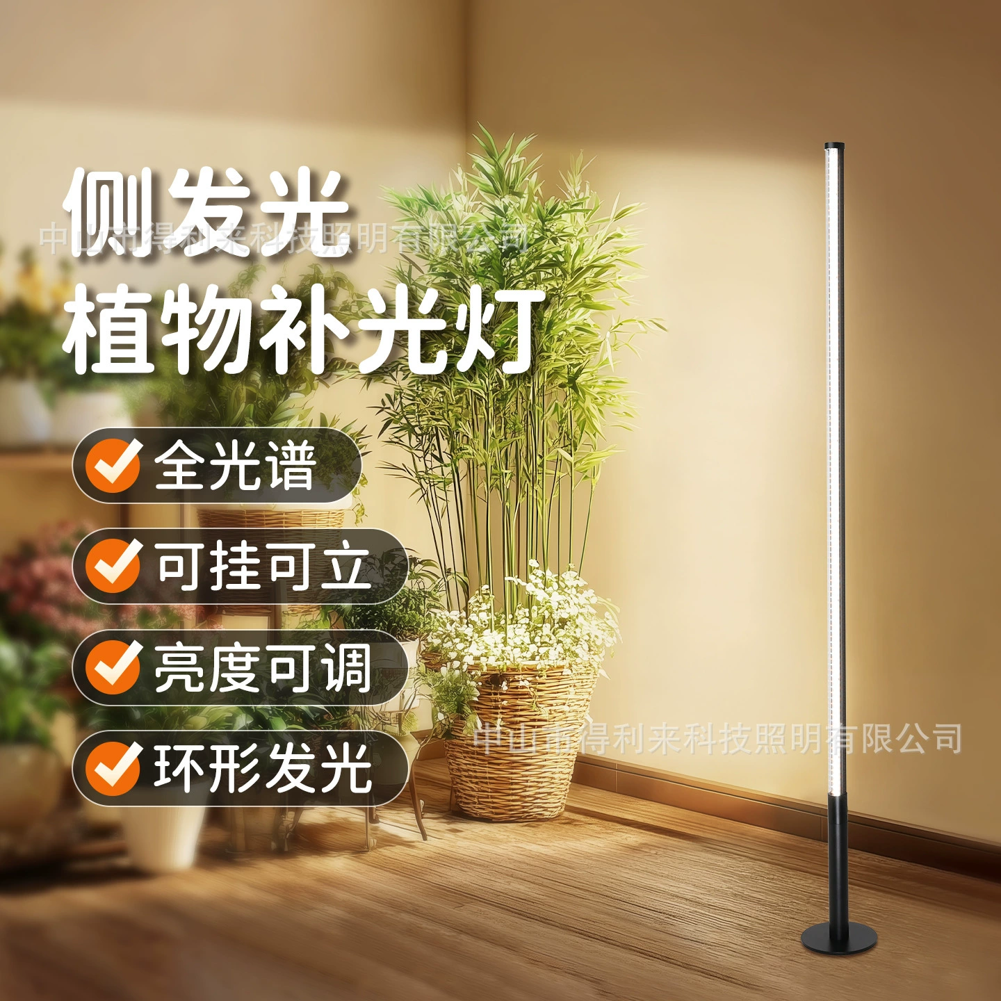 LED floor fill light solar-powered, plant lamp, comfortable light spectrum